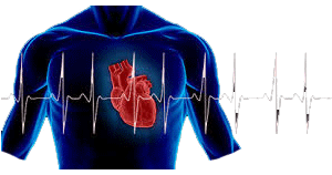 cardiology literature